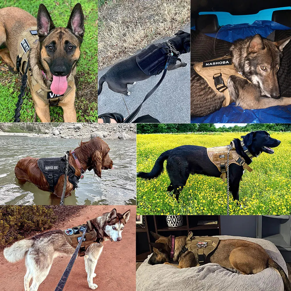 Large Dog Harness And Leash Set Pet German Shepherd Malinois Training Walking Vest Dog Harness And Collar Set For All Breeds Dog - My Store