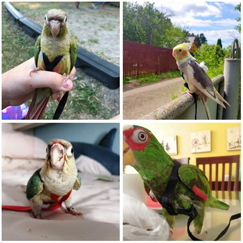 Parrot Birds Harness Leash Outdoor طيور Flying Traction Straps Band Adjustable Anti-Bite Training Rope 앵무새 Accessories Pet Items - My Store