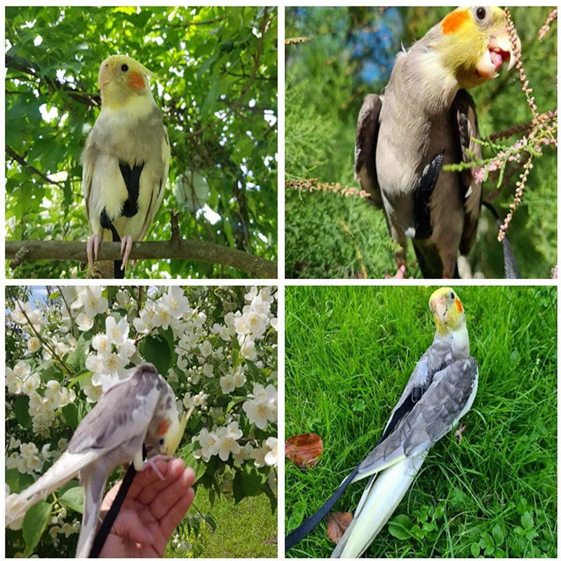 Parrot Birds Harness Leash Outdoor طيور Flying Traction Straps Band Adjustable Anti-Bite Training Rope 앵무새 Accessories Pet Items - My Store