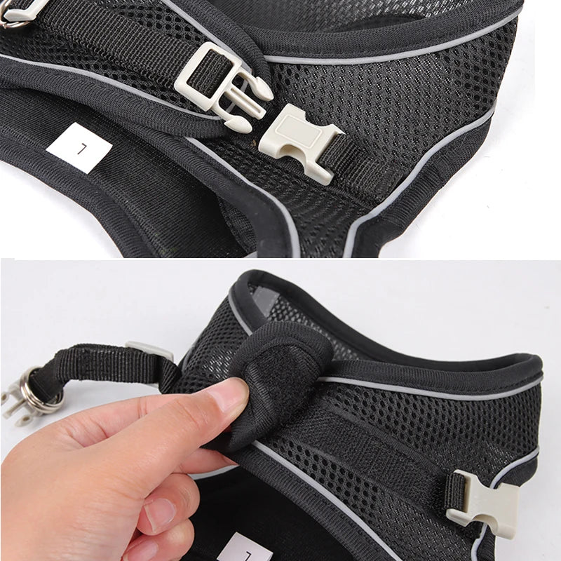 Dog Harness Leash Set for Small Dogs Adjustable Puppy Cat Harness Vest French Bulldog Chihuahua Pug Outdoor Walking Lead Leash - My Store