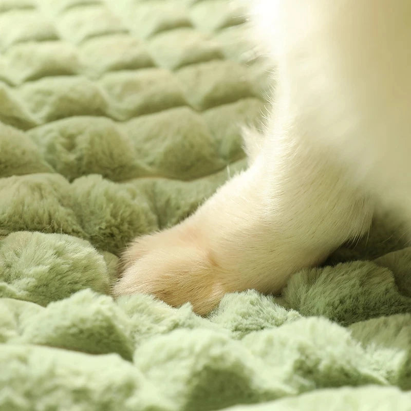 MADDEN Winter Warm Dog Mat Luxury Sofa for Small Medium Dogs Plaid Bed for Cats Dogs Fluff Sleeping Removable Washable Pet Beds - My Store