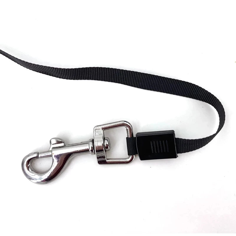 3 Meters 5 Meters Retractable Dog Leash Pet Leash Traction Rope Belt Automatic Flexible Leash For Small Medium Large Dog Product - My Store