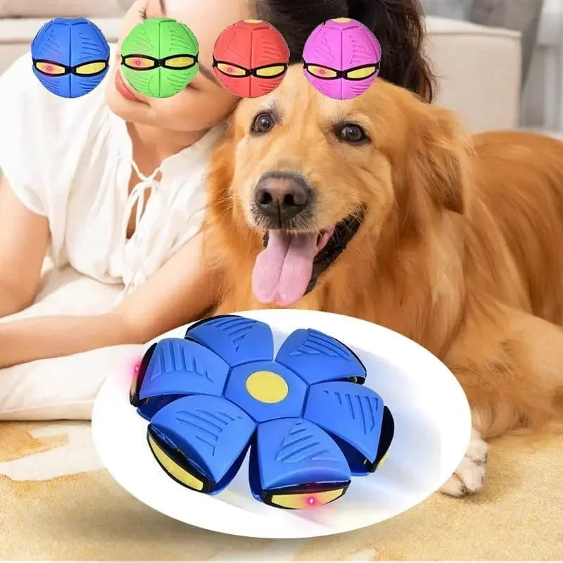 Dog Toys Flying UFO Saucer Ball Interactive Outdoor Sports Training Games Magic Deformation Flat Throw Disc Ball Pet Supplies - My Store