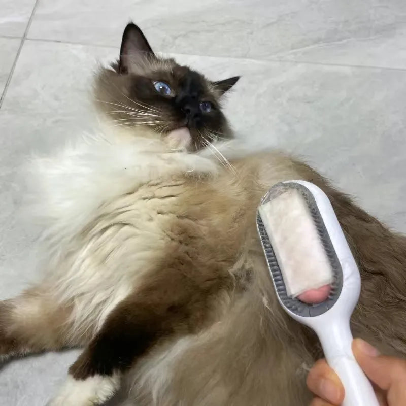 Double Sided Hair Removal Brushes for Cat Dog Pet Grooming Comb with Wipes Kitten Brush gato accesorios artículos para mascotas - My Store