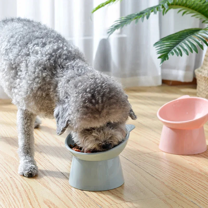 2023 New Cat Bowl High Foot Dog Bowl 45°Neck Protector Cat Pet Food Water Bowls Pet Feeding Cup Pet Feeder - My Store