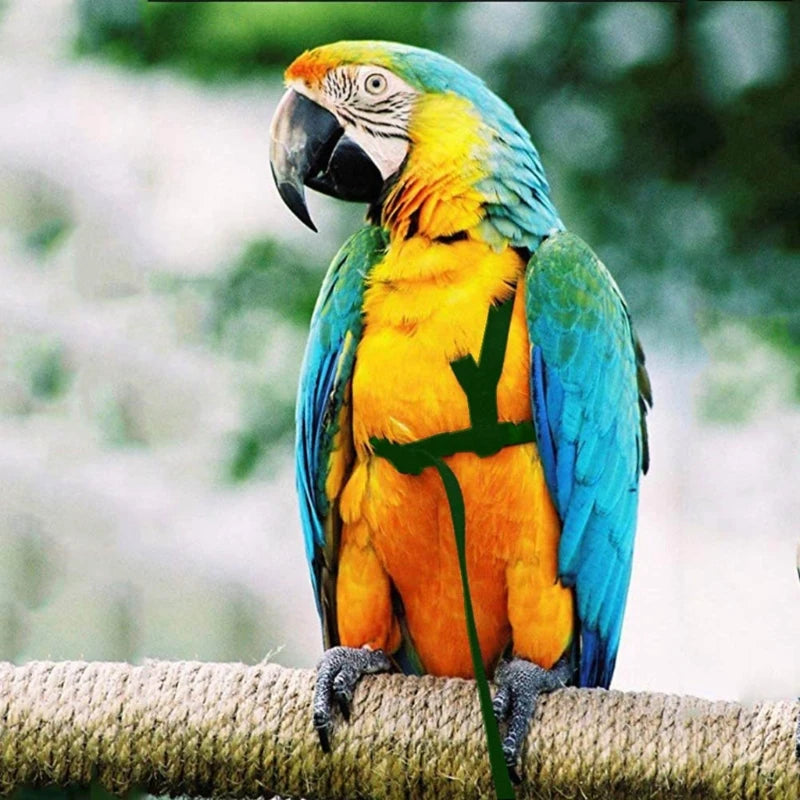 Parrot Birds Harness Leash Outdoor طيور Flying Traction Straps Band Adjustable Anti-Bite Training Rope 앵무새 Accessories Pet Items - My Store