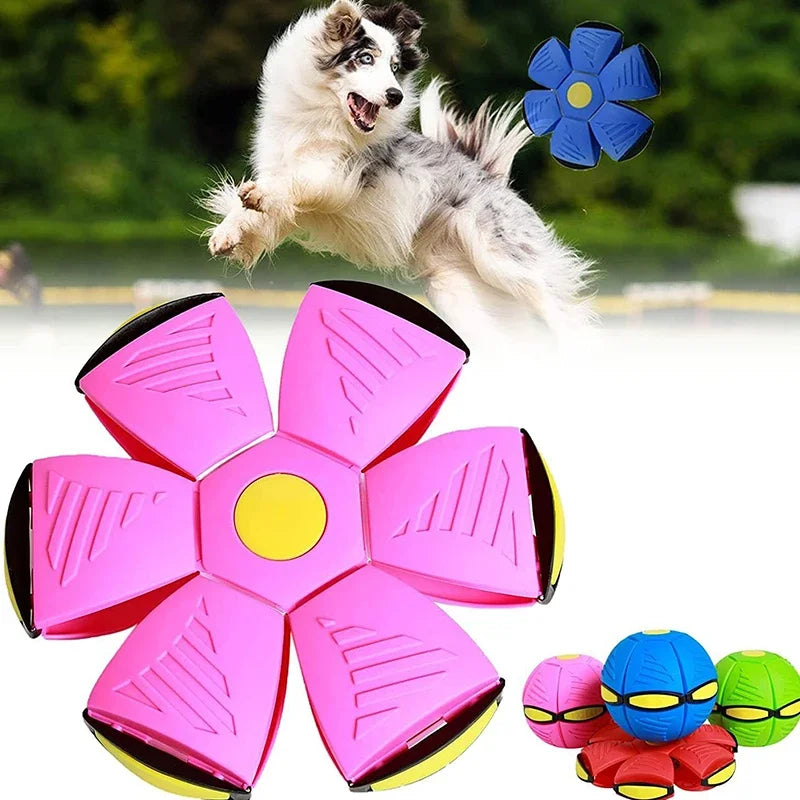 Dog Toys Flying UFO Saucer Ball Interactive Outdoor Sports Training Games Magic Deformation Flat Throw Disc Ball Pet Supplies - My Store