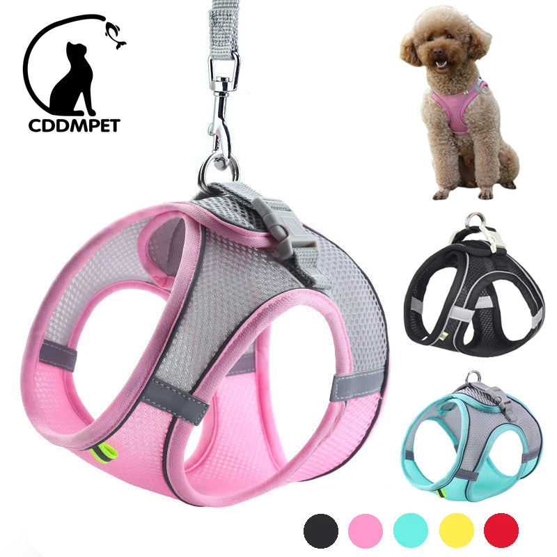 Dog Harness Leash Set for Small Dogs Adjustable Puppy Cat Harness Vest French Bulldog Chihuahua Pug Outdoor Walking Lead Leash - My Store